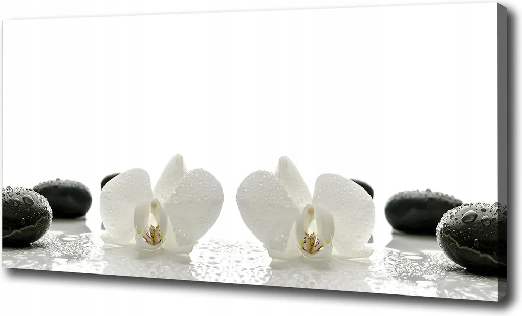 Canvas falikép Orchidea 120x60 cm
