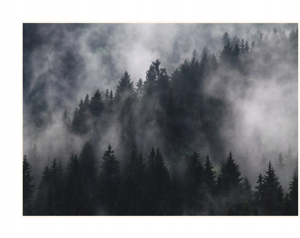 Fém poszter Fali dekoráció Erdő a ködben 40x30