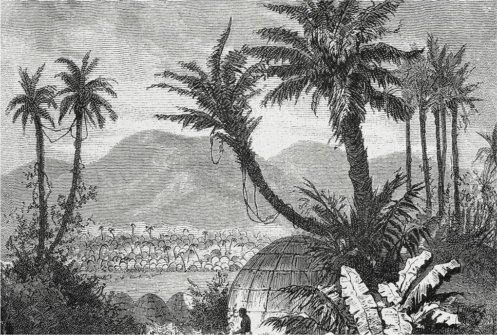 Stílusos Dekoratív Fotótapéta Trópusi oázis 104x70 Ragasztó