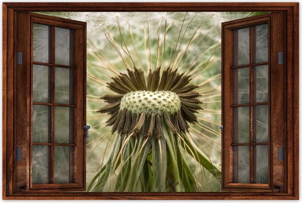 Poszterek 90x60 Pitypang makró fotó