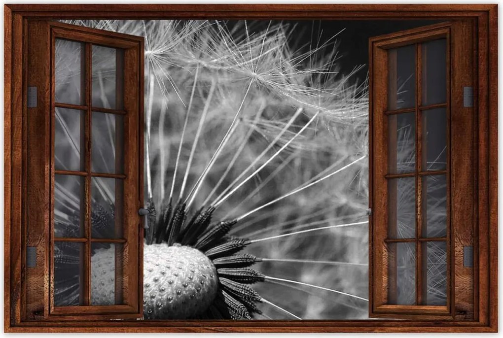 Poszterek 90x60 Pitypang Virág Virágok