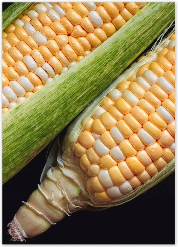 Poszterek 50x70 Két kukoricacsutka