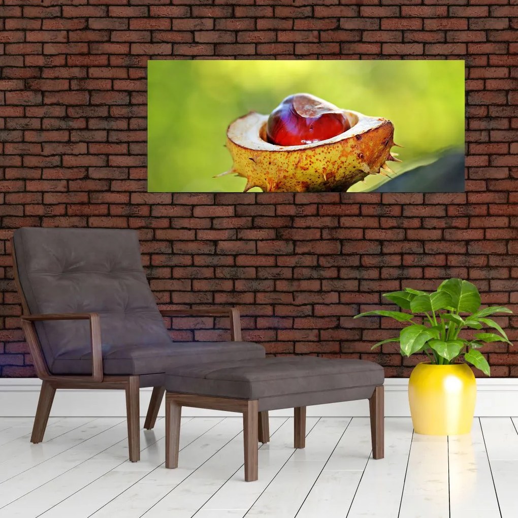 Gesztenye képe (120x50 cm)