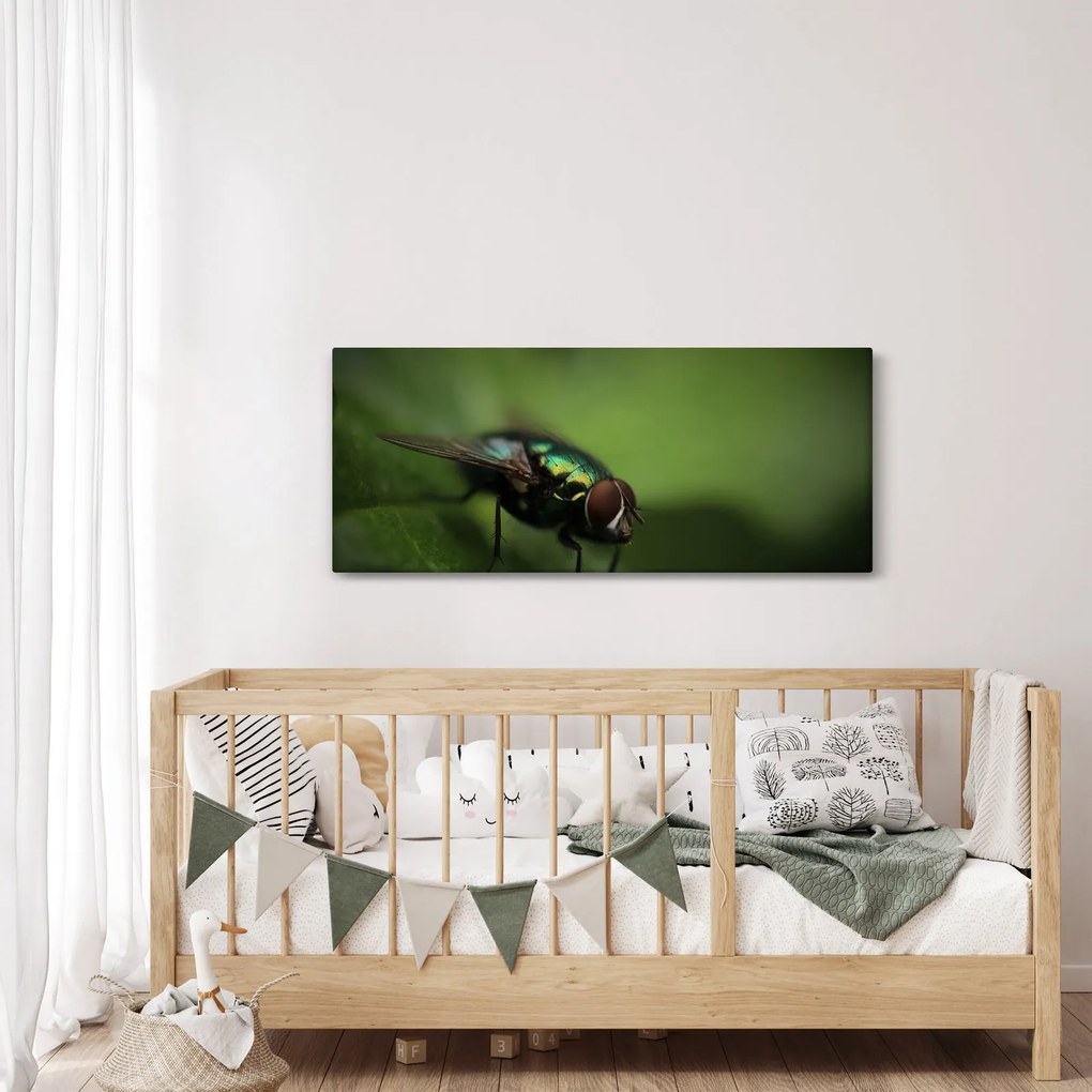 Kép - Légy (120x50 cm)