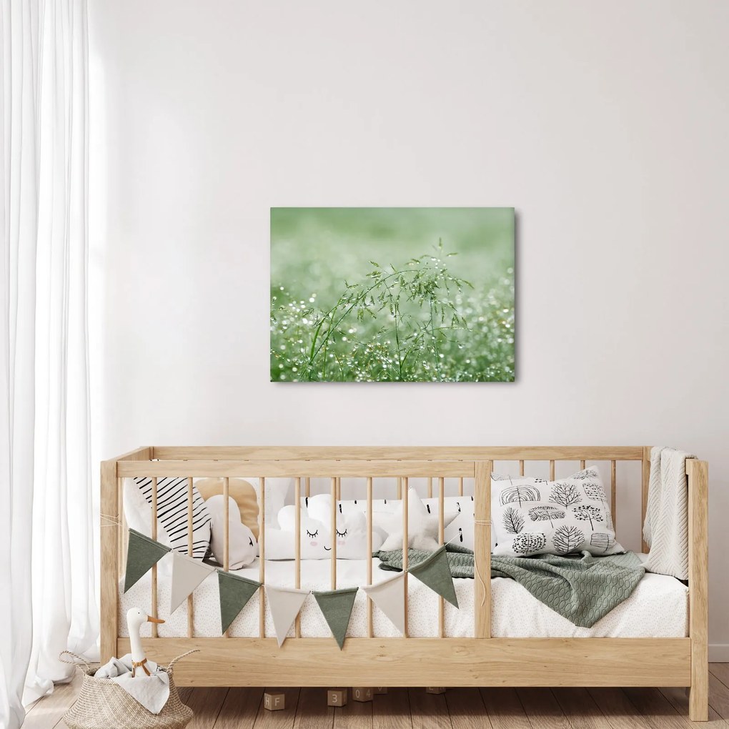 Kép - Harmat a fűben (70x50 cm)