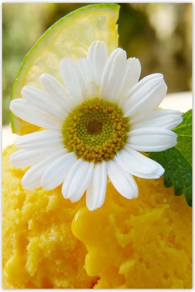 Poszterek 80x120 Gyümölcsös sárgabarack fagylalt