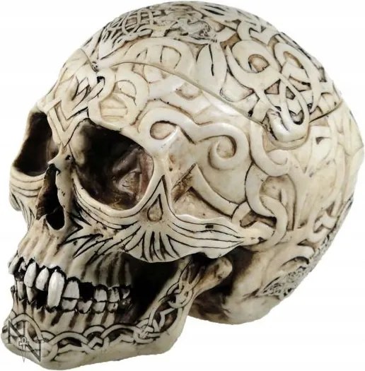 Kelta Koponya Celtic Skull Dekoráció Figura