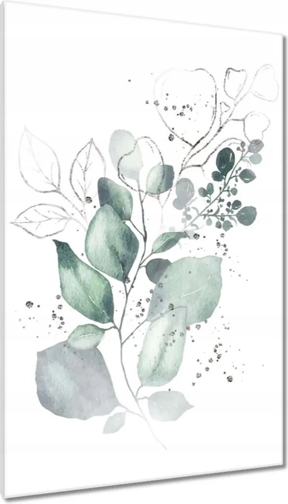 Vászonkép 80x120 Eukaliptusz ág