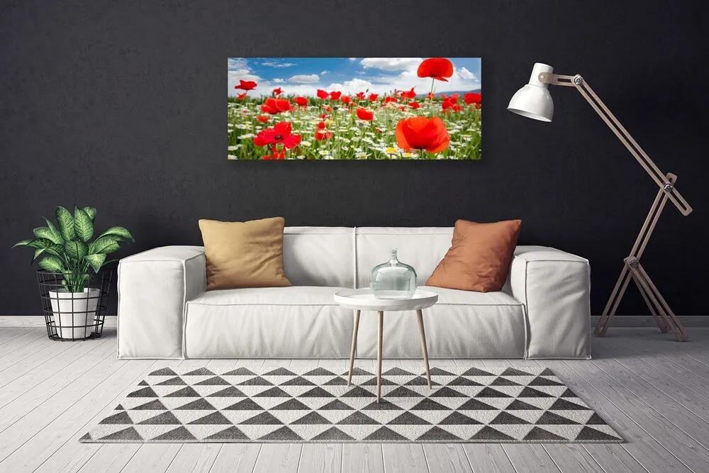 Vászonkép falra Mezei virágok Természet 120x60 cm