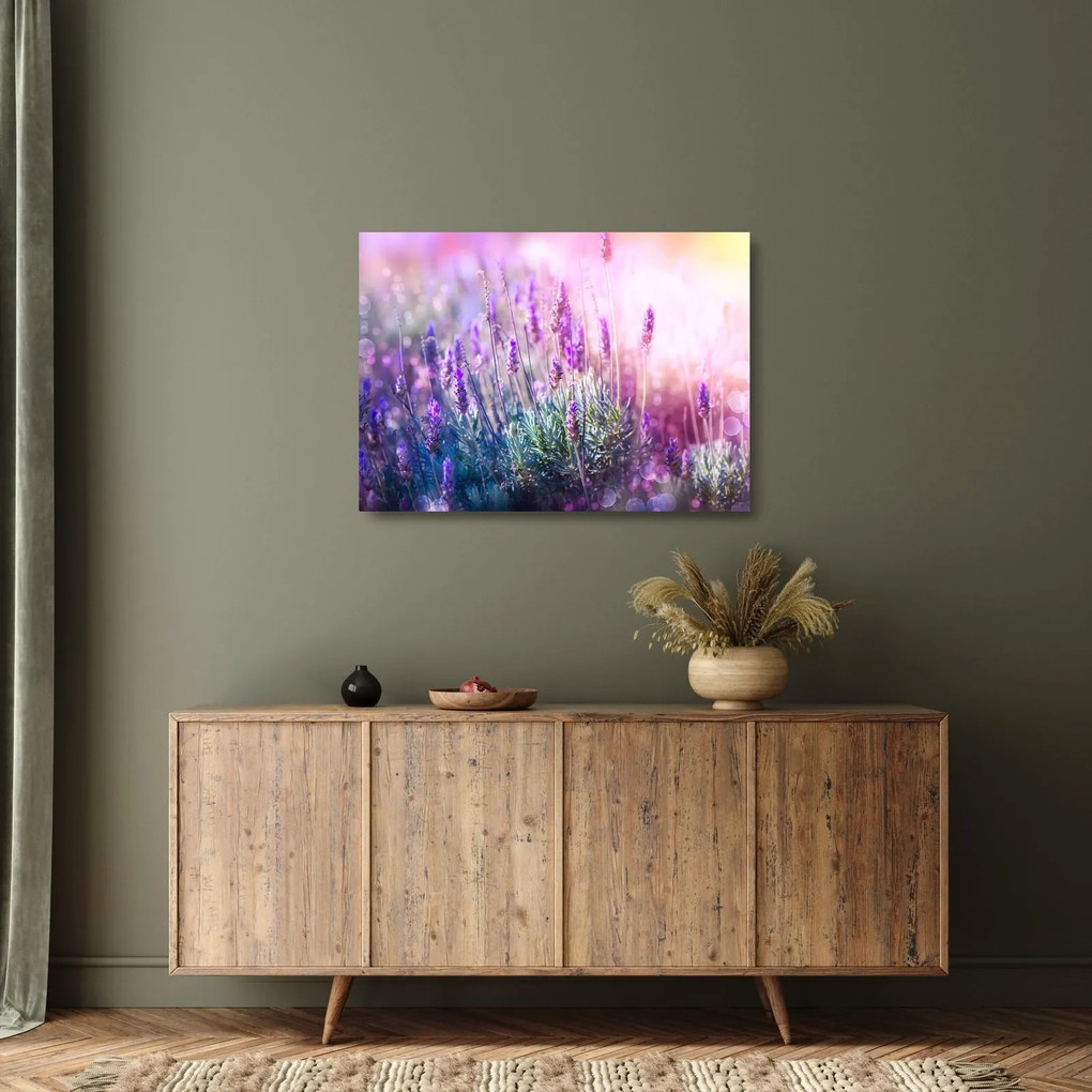 Kép - Levendula a csillogó napban (üvegen) (70x50 cm)