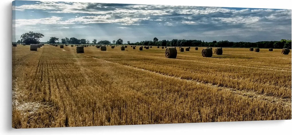 Betakarított gabona mező képe (120x50 cm)