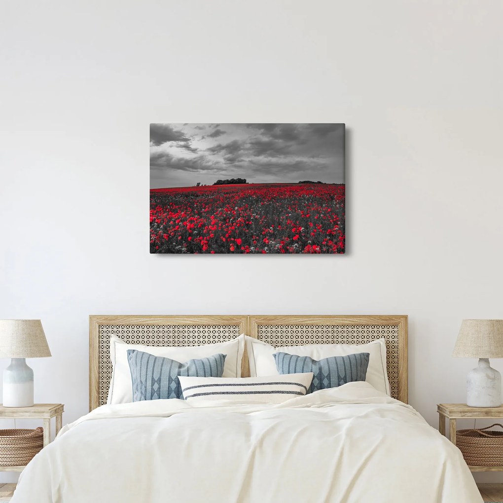 Pipacsos kép (90x60 cm)