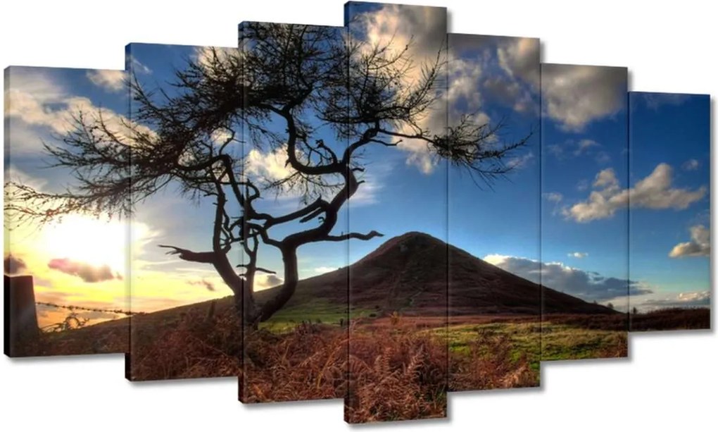 Festmények 140x80 Fa