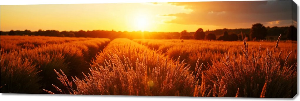 Vászonkép 150x50cm Hálószoba Nappaliba Panoráma Mező