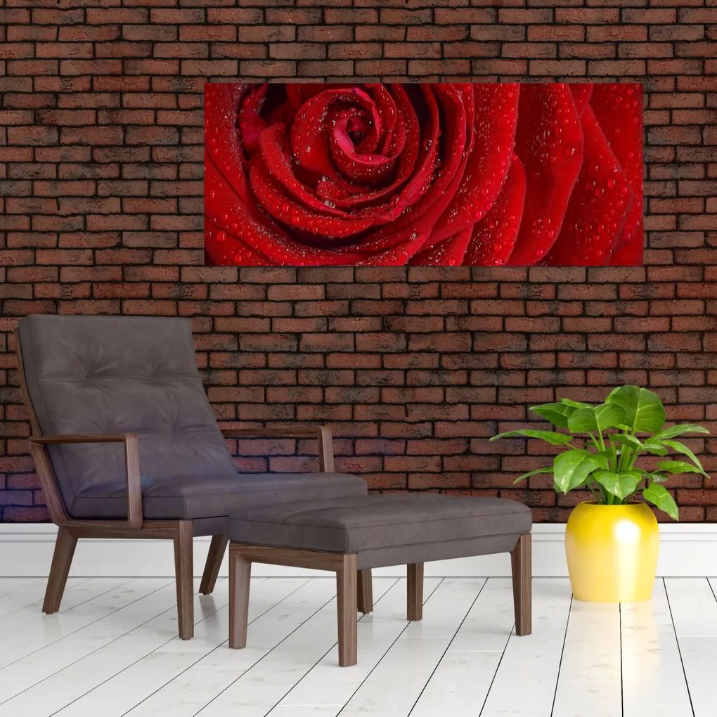 Kép - részlet a rózsáról (120x50 cm)