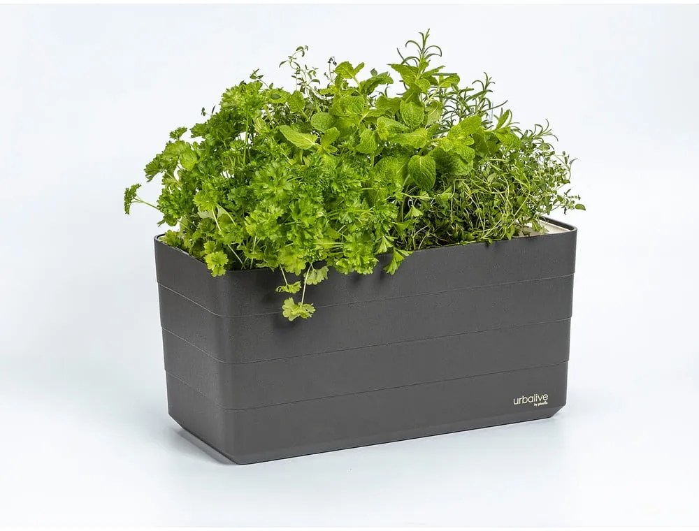 Műanyag önöntözős láda 39,5 cm Berberis – Plastia