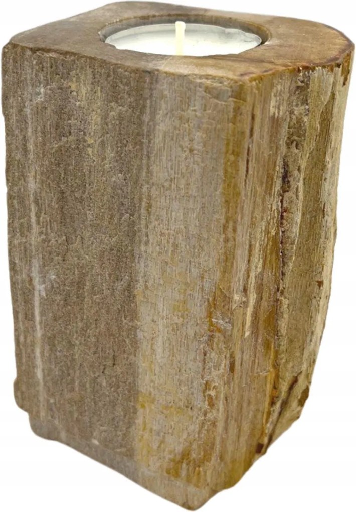 Gyertyatartó megkövesedett fából magas P-02