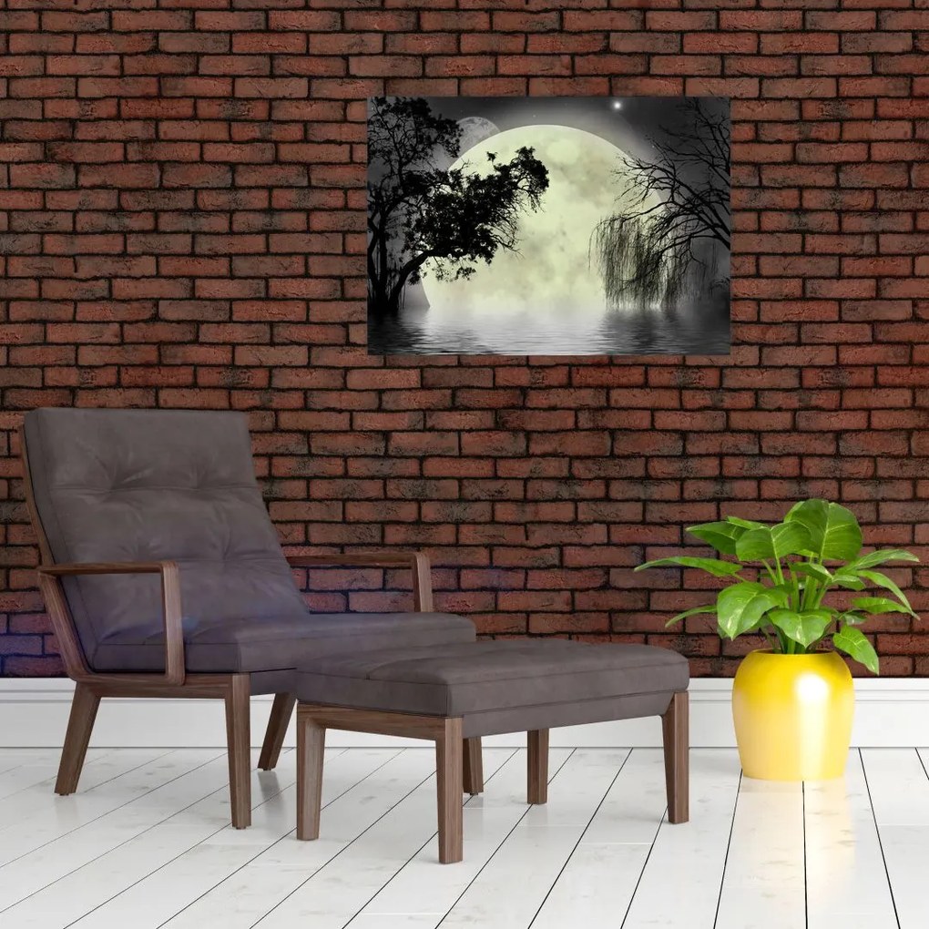 Kép - Telihold a felszín felett, fekete-fehér változat (üvegen) (70x50 cm)