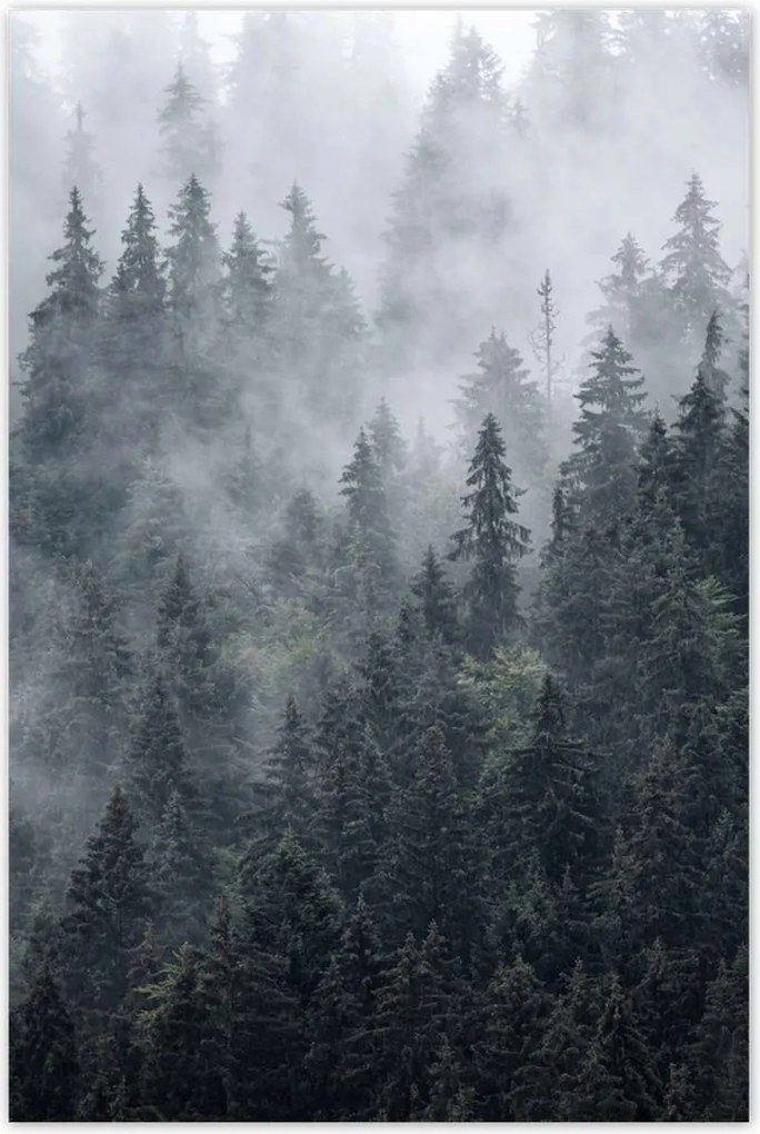 Poszterek 60x90 Ködös hegyi táj