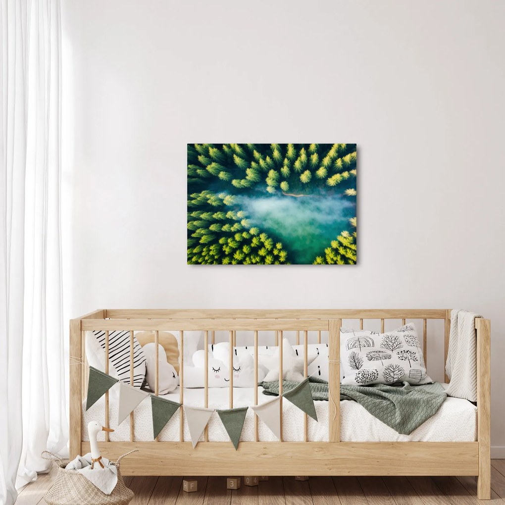 Kép - Egy ködbe burkolt erdő (70x50 cm)