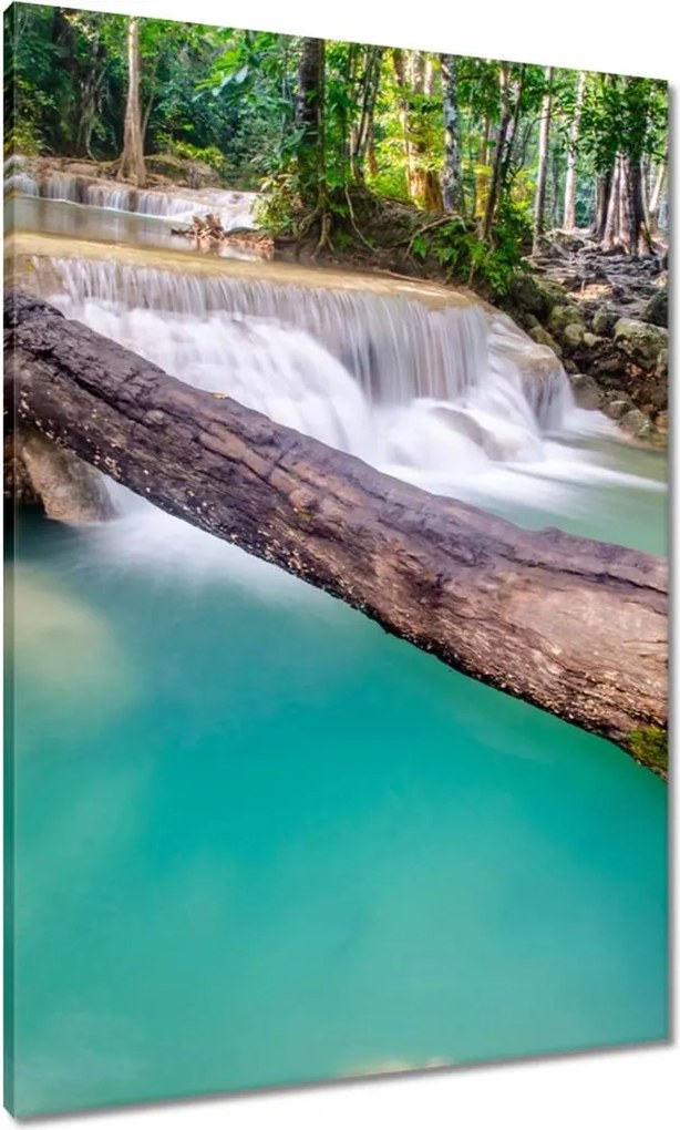 Vászonkép 70x100 Kidőlt fa