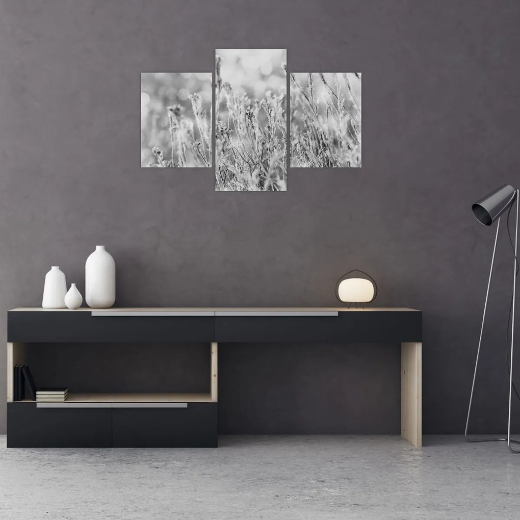 Kép - Hideg tél (90x60 cm)