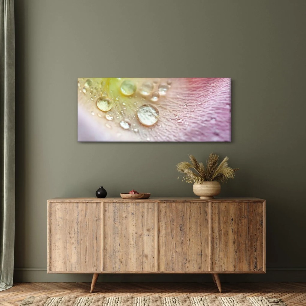 Kép - Harmatcseppek (120x50 cm)
