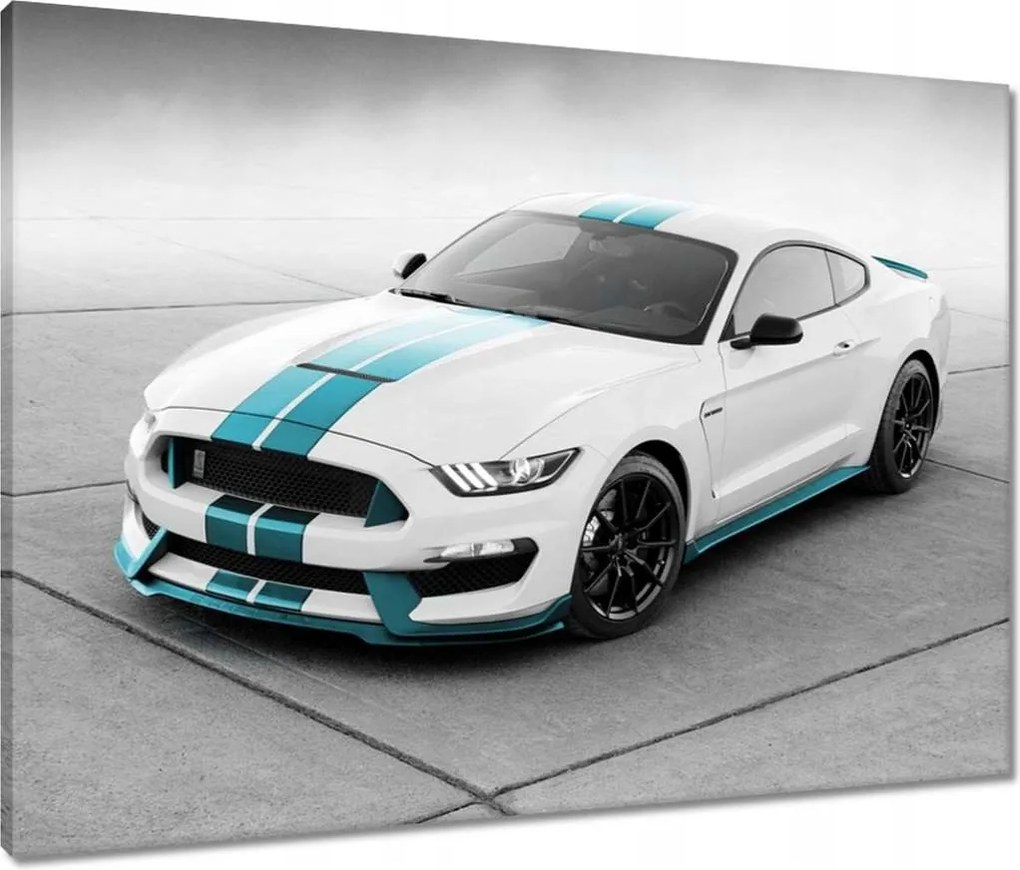 Vászonkép 80x60 Mustang Ford Autó