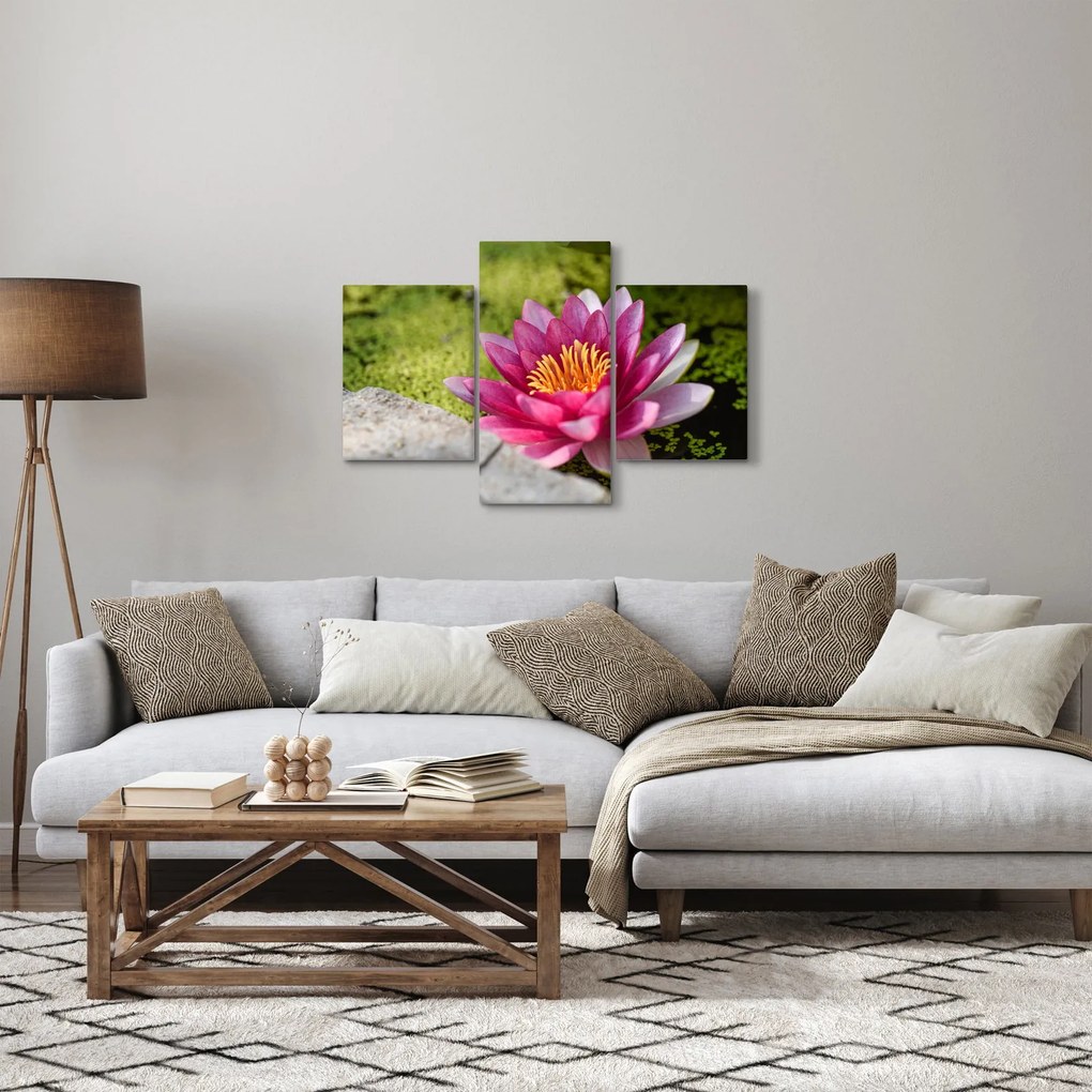 Kép - Tavirózsa (90x60 cm)