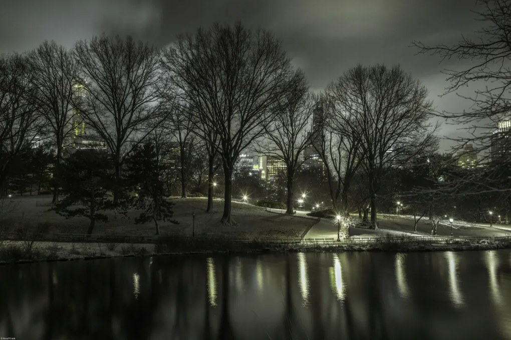 Poszter 60x40cm Central Park éjszaka 2, Assaf Frank