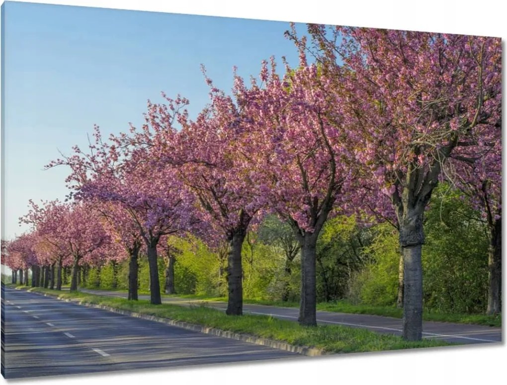 Festmények 120x80 Fa Fák Kilátás