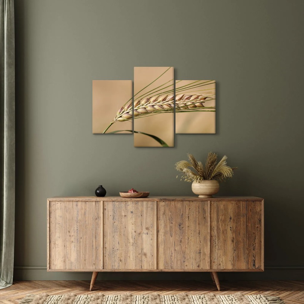 Kép - Búza (90x60 cm)