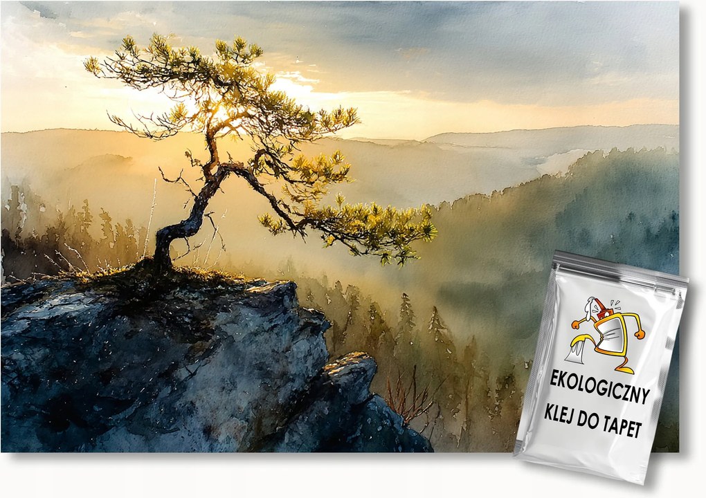 Fotótapéta Flizelina Lengyel Hegyek Pienina Sokolica Fenyő 300x210 ragasztó