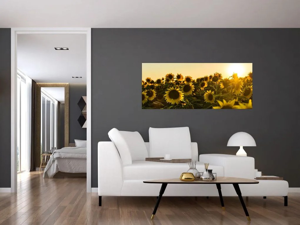 A napraforgó mező képe (120x50 cm)