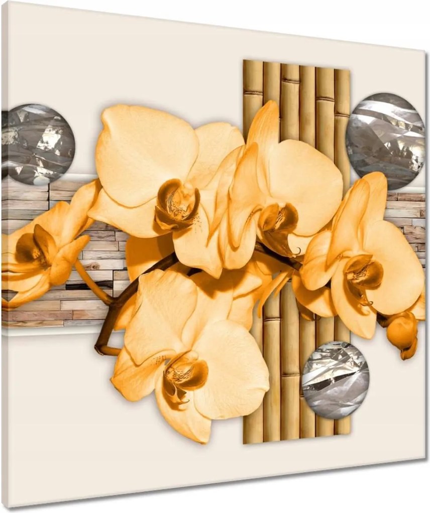 Vászonkép 60x60 Narancssárga orchidea