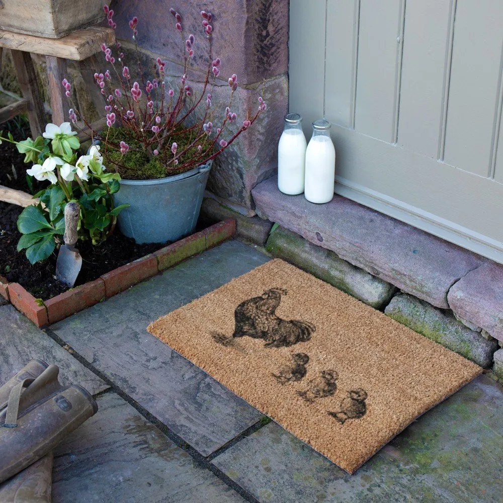 Kókuszrost lábtörlő 40x60 cm Chickens and Chicks – Artsy Doormats