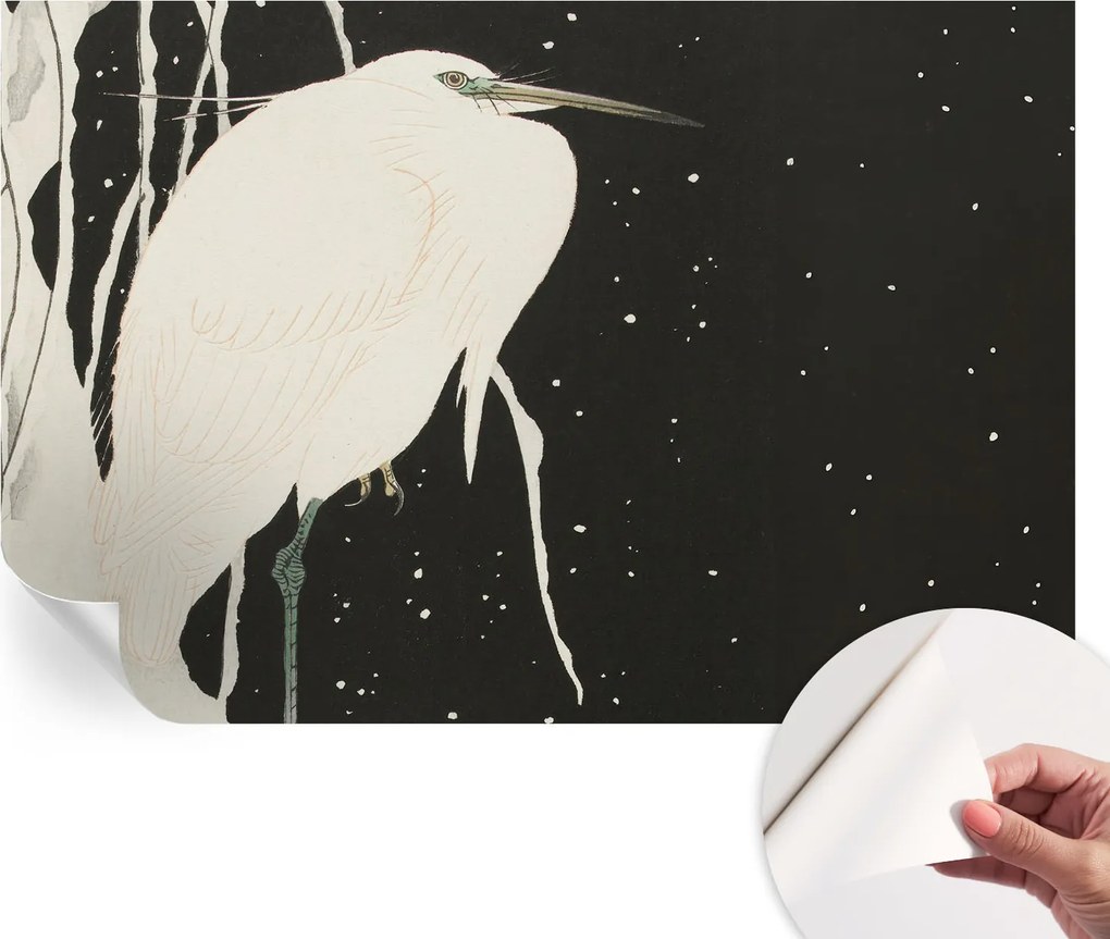 Fotótapéta Fali tapéta Hálószobába és Nappaliba Téli madár 104x70 cm