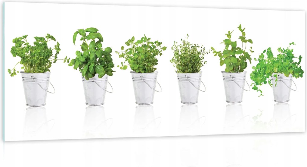 Üvegfestmény üvegen a konyhába Gyógynövények 125x50