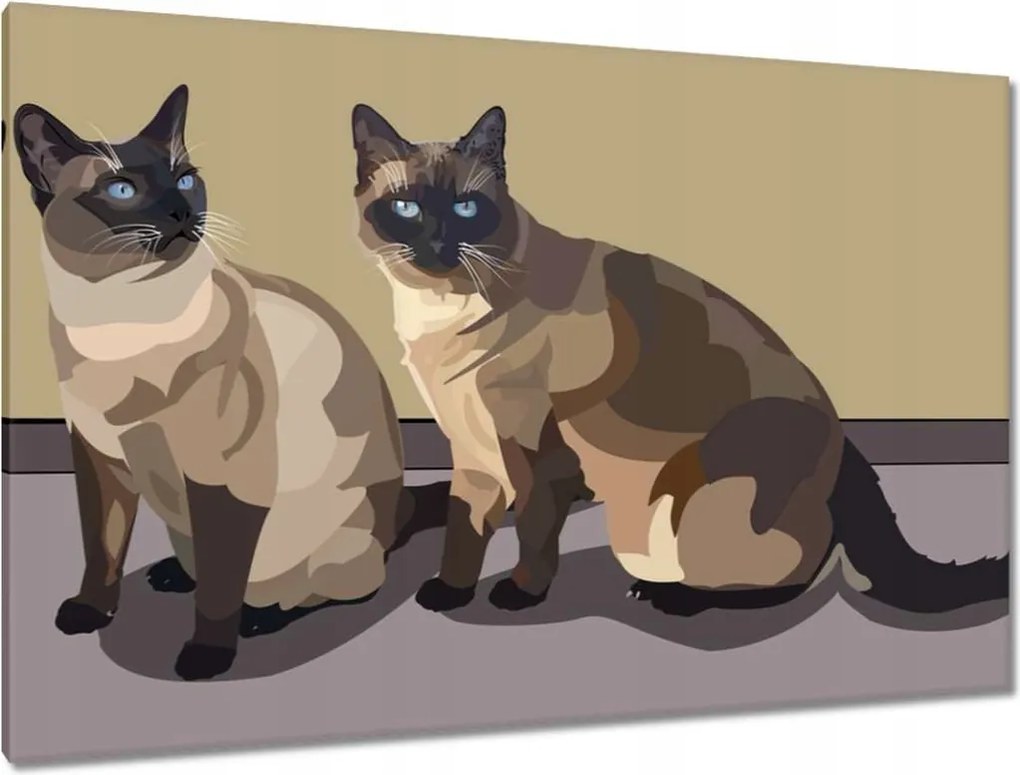 Képek 120x80 Cica Cicák Macskák