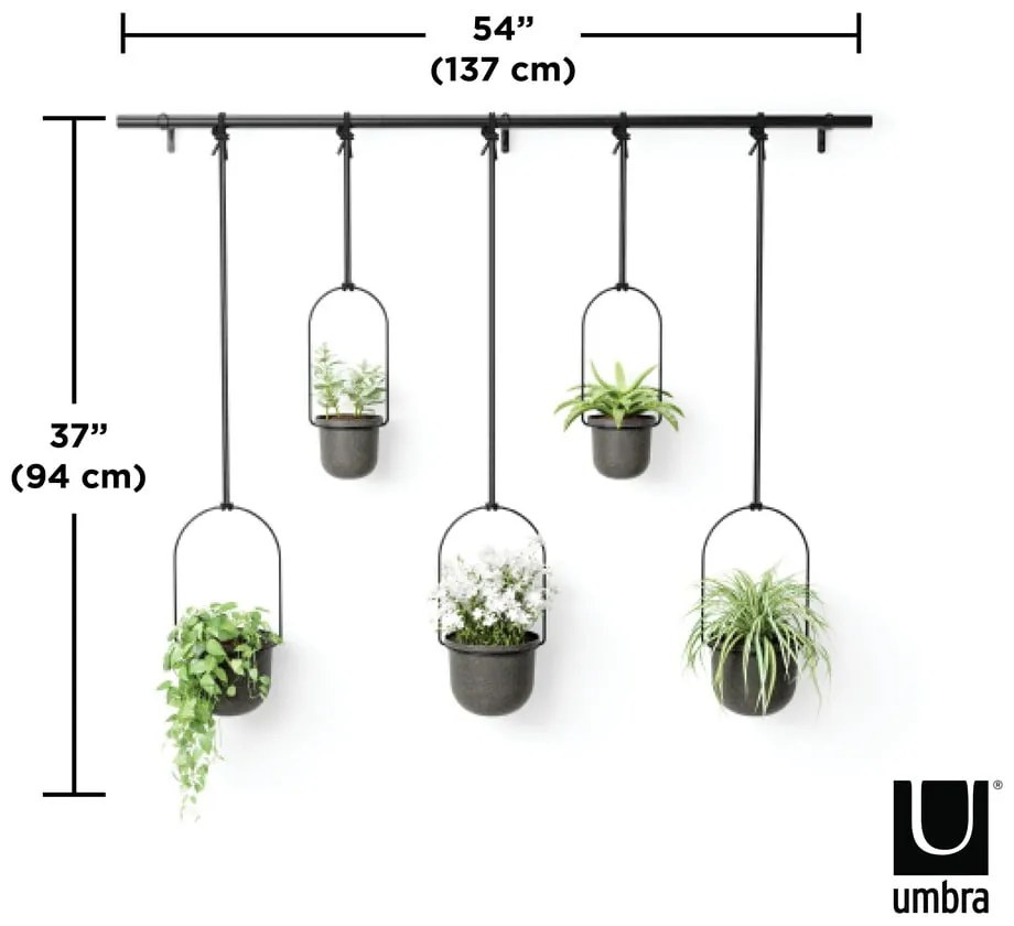 Műanyag kaspó szett 5 db-os fűszernövényekhez -függő ø 7,5 cm Triflora – Umbra