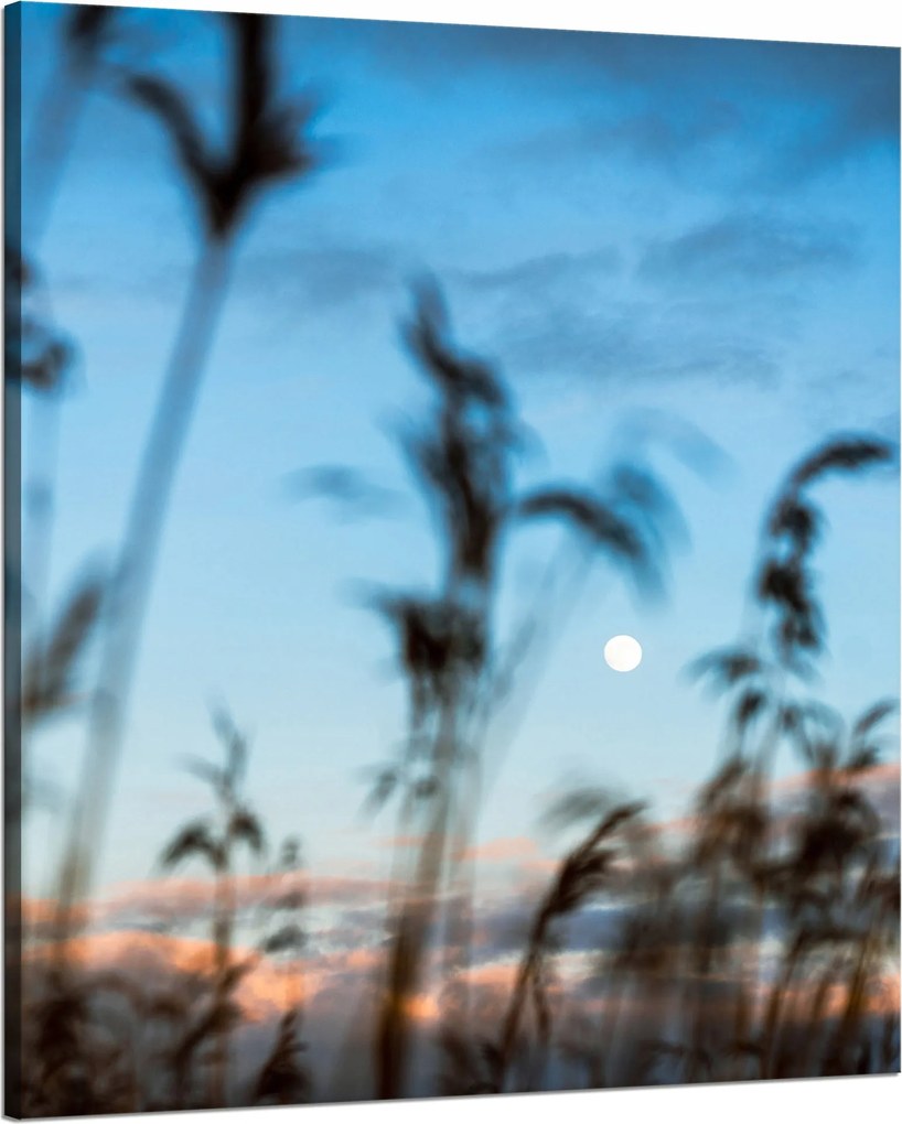 Vászonkép Természet Mező Rét Napfelkelte 80x100