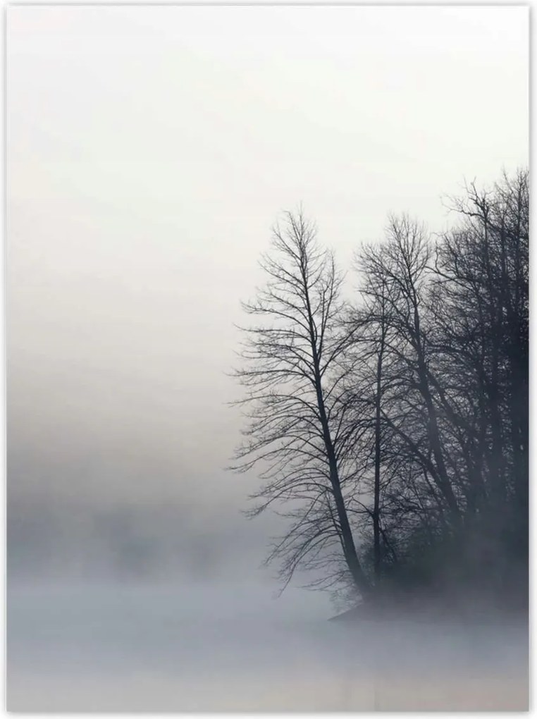 Poszterek 100x135 Ködös erdő Tél