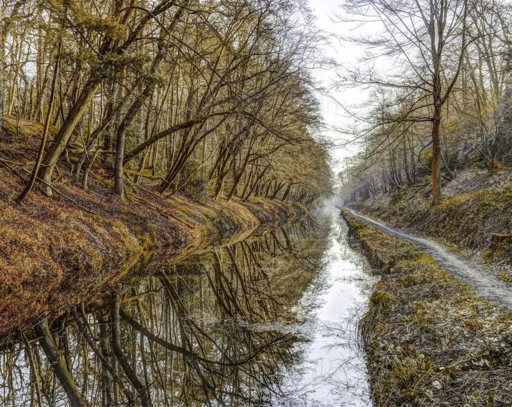 Poszter 76x60,5cm Csatorna az erdőben, Assaf Frank