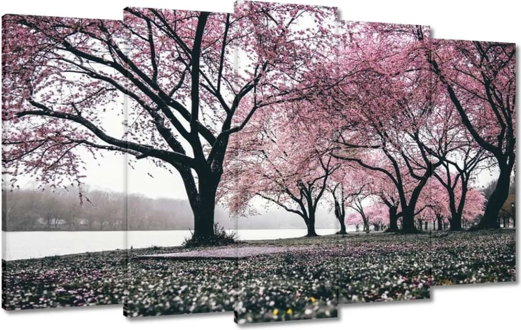 Festmények 100x60 Fa Fák Kilátás