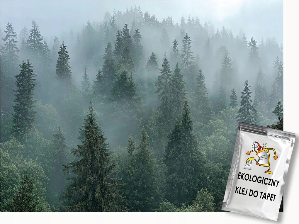 Fotótapéta Erdő A Ködben Fák 3D Természet Falra Hálószoba Nappali 200x140