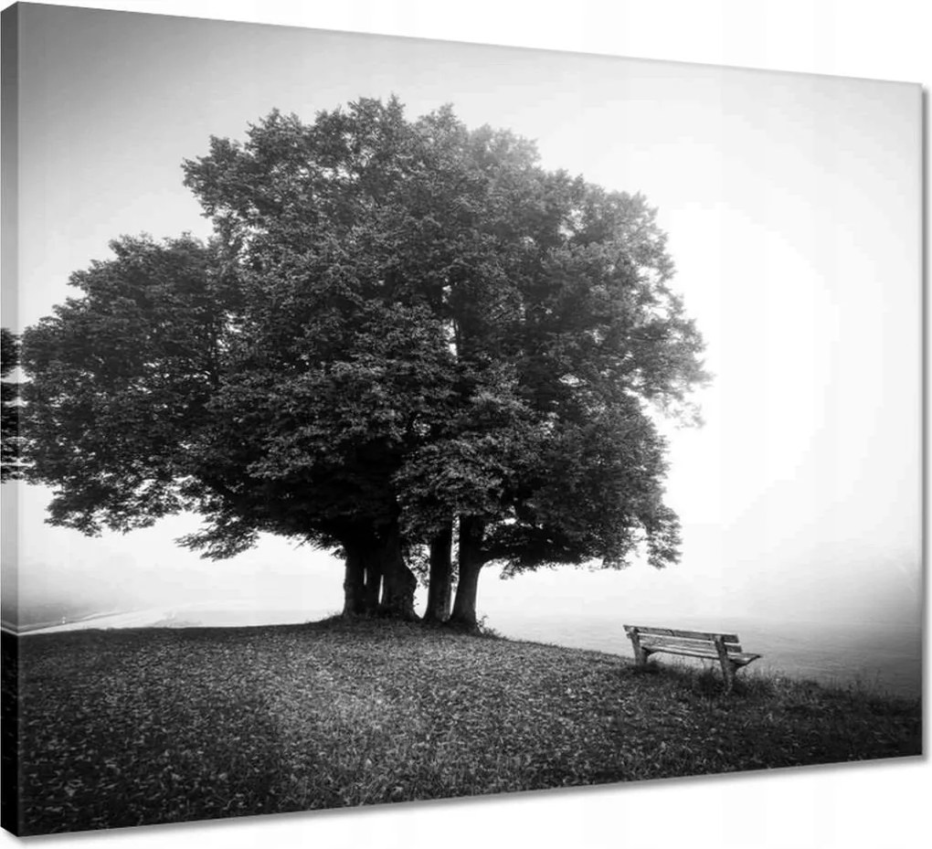 Vászonkép 50x40 Tájkép szürke Bw