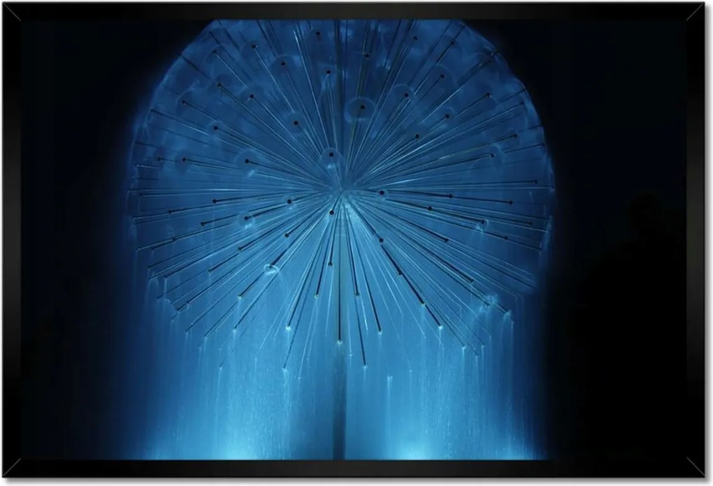 Poszterek keretben 60x40 Pitypang Virág Virágok