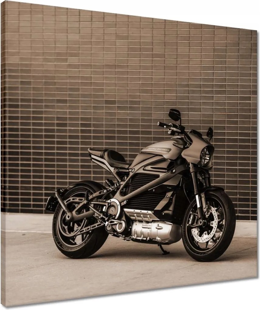 Vászonkép 50x50 Harley Davidson Motorkerékpár
