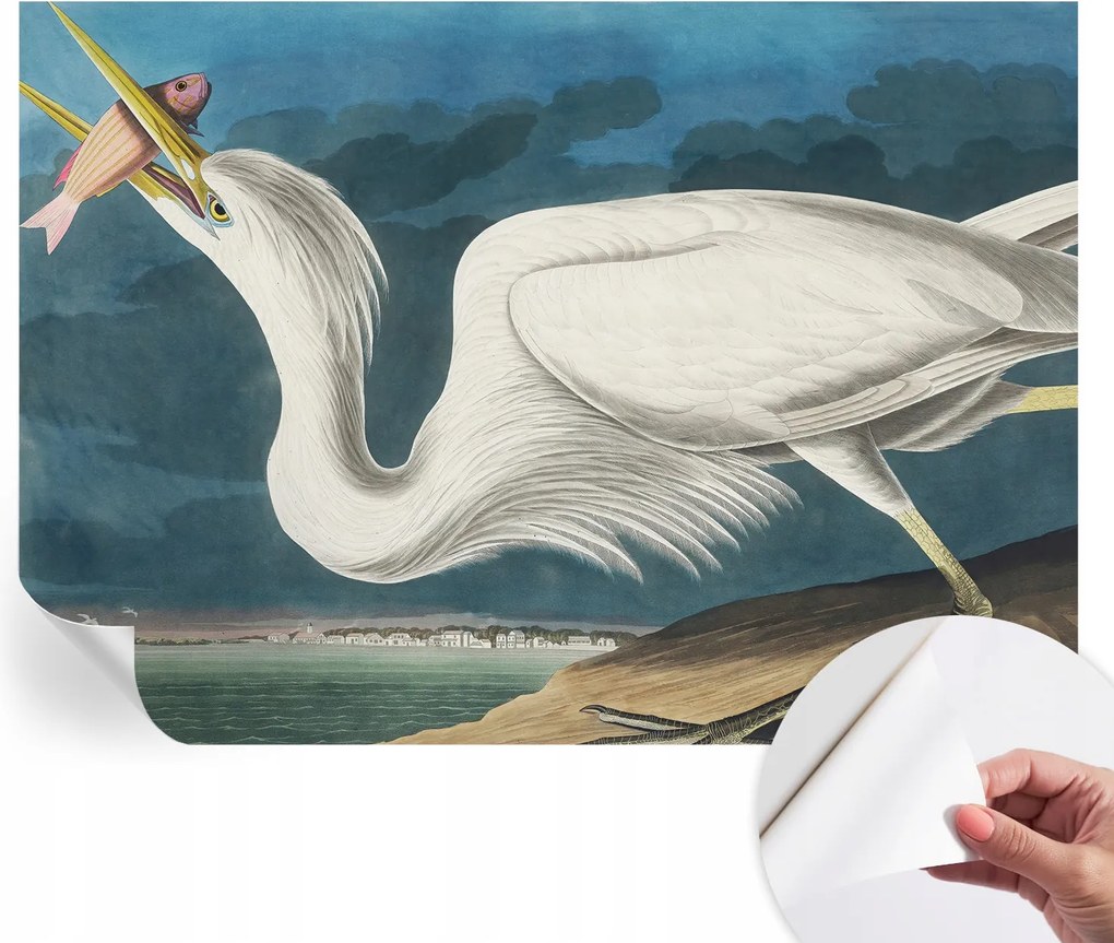 Öntapadós fotótapéta Nappaliba és Hálószobába Madár és hal 208x146 cm