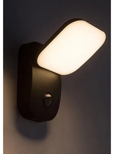Rabalux 77058-LED Kültéri fali lámpa érzékelővel ODIEL LED/12W/230V IP44
